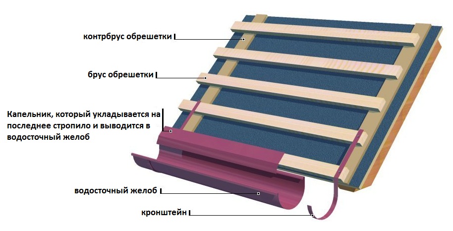 kapelnik3