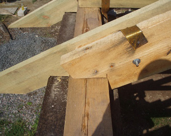 odnoskatka9.jpg