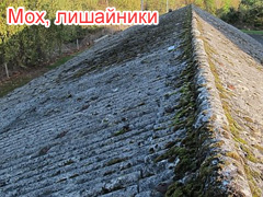 Причины ремонта шифера: мох