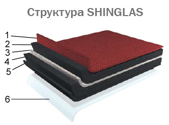 строение shinglas