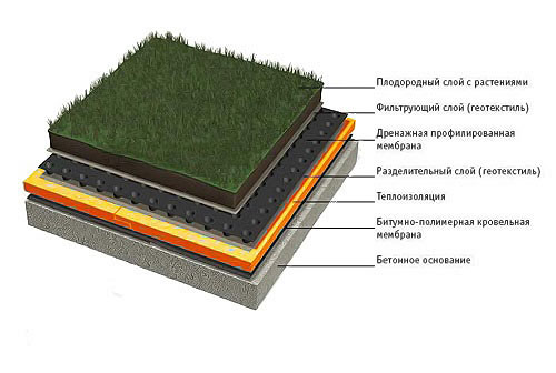 разрез кровельного пирога для эксплуатируемой зеленой кровли