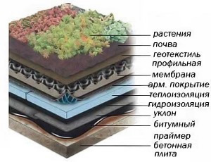 структура  зеленой кровли